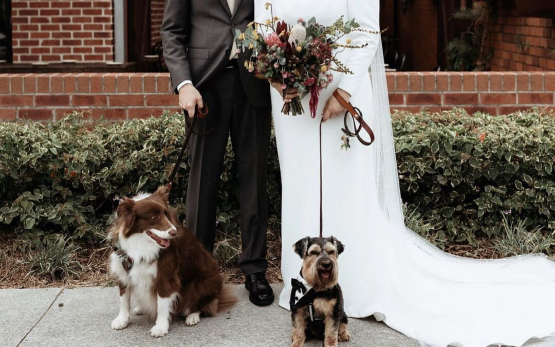 Your Pet Friendly Wedding Guide
