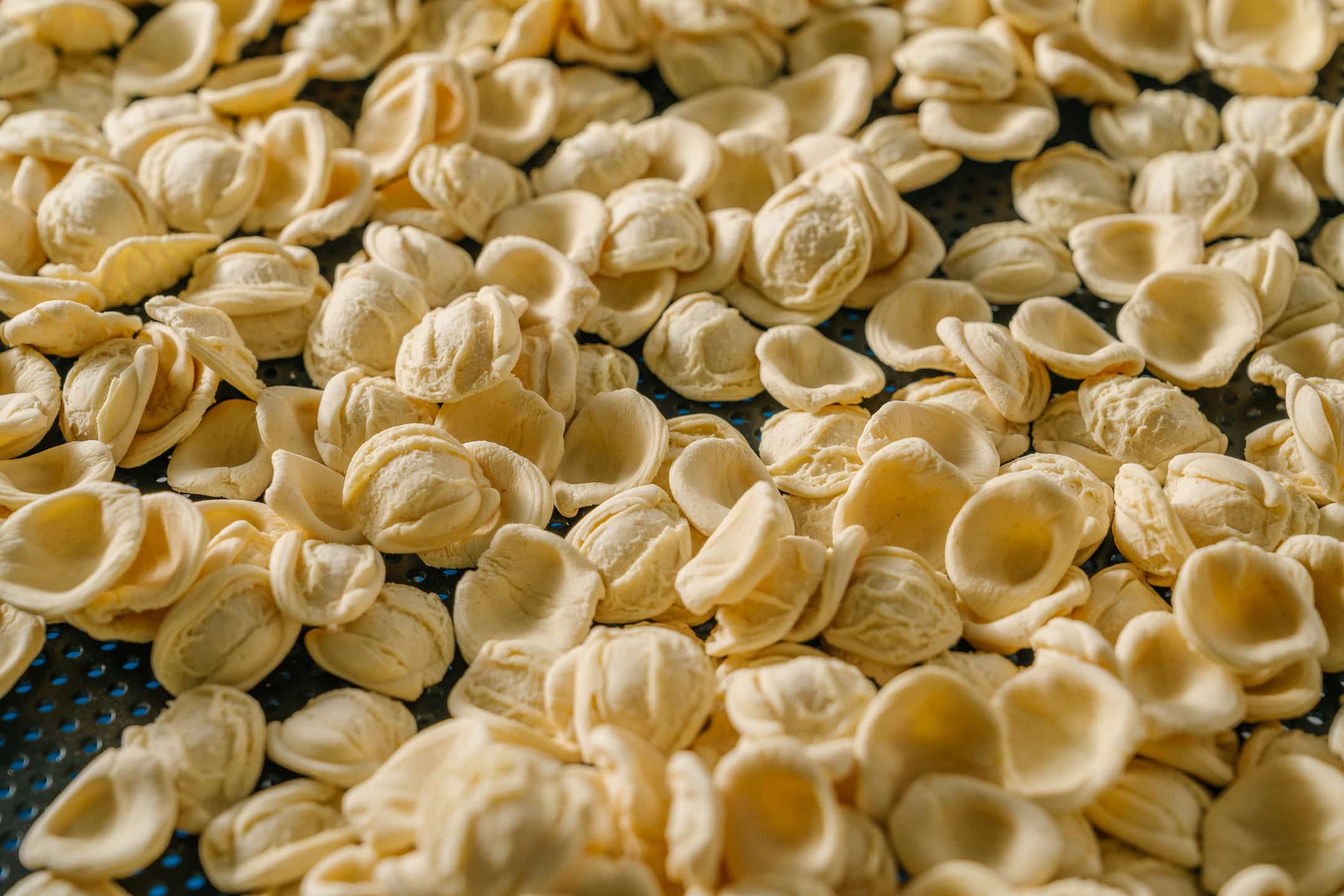 Handmade fresh orecchiette pasta Italian restaurant near me Coorparoo Handmade fresh orecchiette pasta Italian restaurant near me Coorparoo